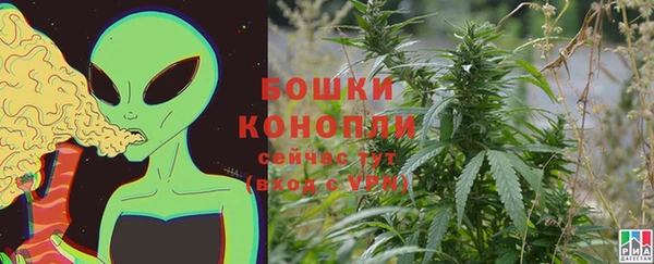 2c-b Сатка