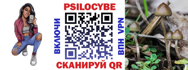 Псилоцибиновые грибы GOLDEN TEACHER  Зеленодольск 