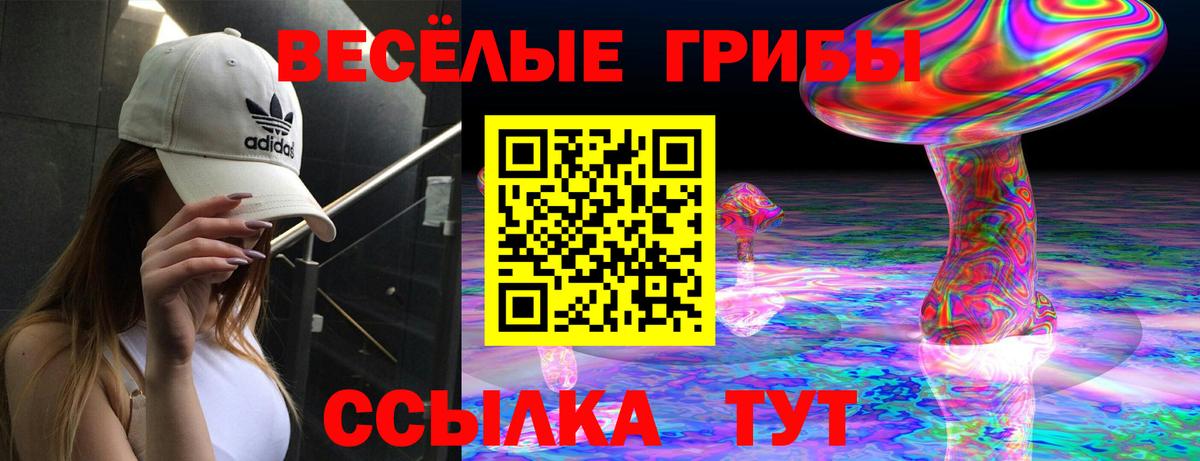 где найти   Вход с VPN  Зеленодольск  Псилоцибиновые грибы мицелий 