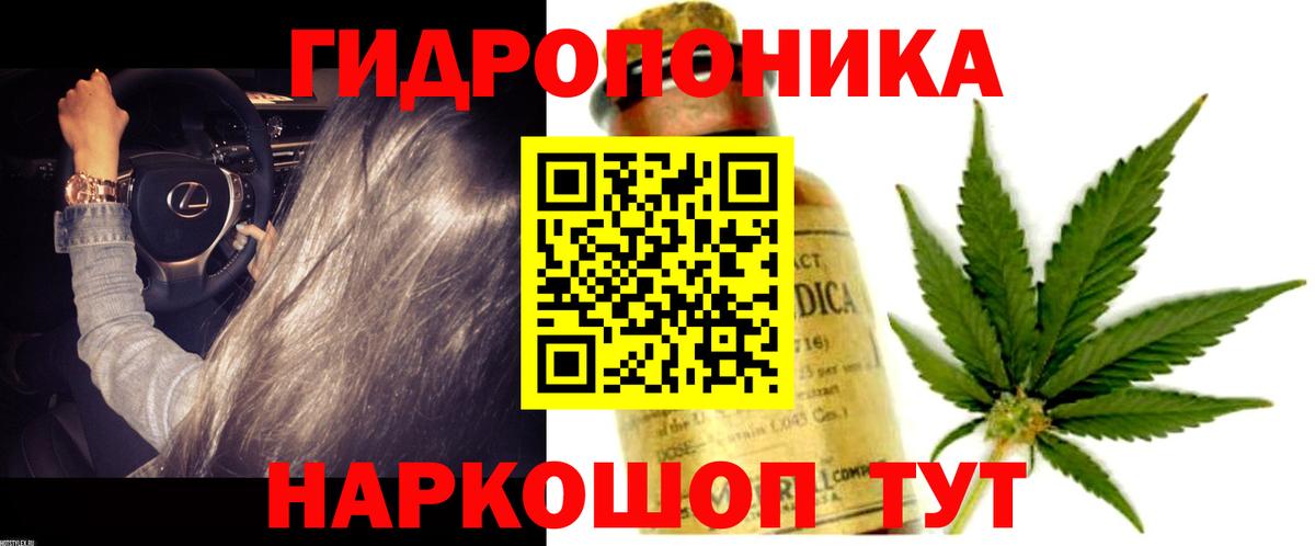 Шишки марихуана OG Kush Зеленодольск